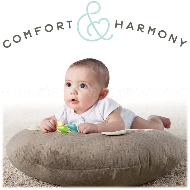     Comfort & Harmony